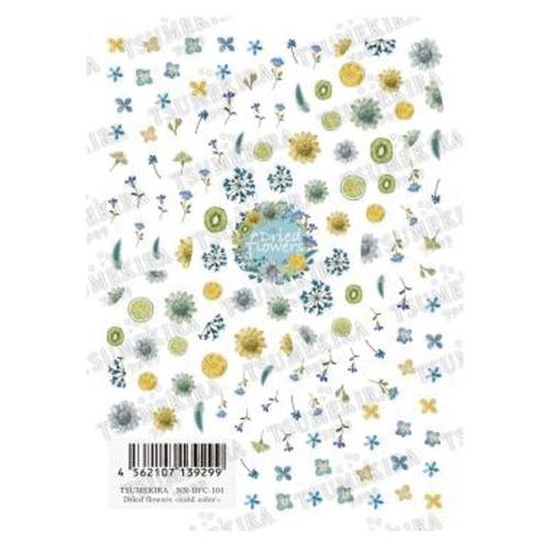 ツメキラ Dried flowers <cold color>　NN-DFC-101