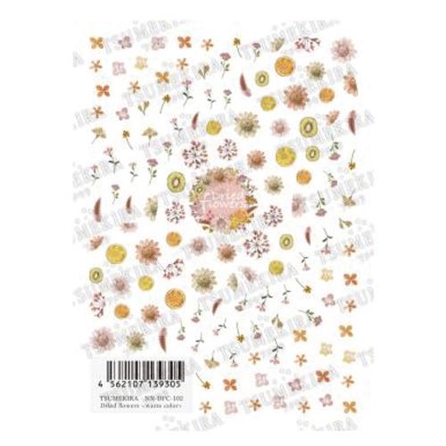 ツメキラ Dried flowers <warm color>　NN-DFC-102