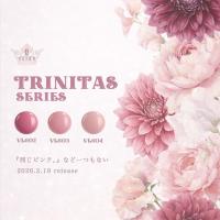 VETRO カラージェル 4ml VL603A ディーバ