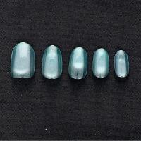 BEAUTY NAILER マグネットネイルチップ TAMAYURAたまゆら TYC-2