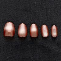 BEAUTY NAILER マグネットネイルチップ TAMAYURAたまゆら TYC-4