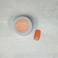 Palms Graceful カラージェル 3g 139 サーモンNo.2