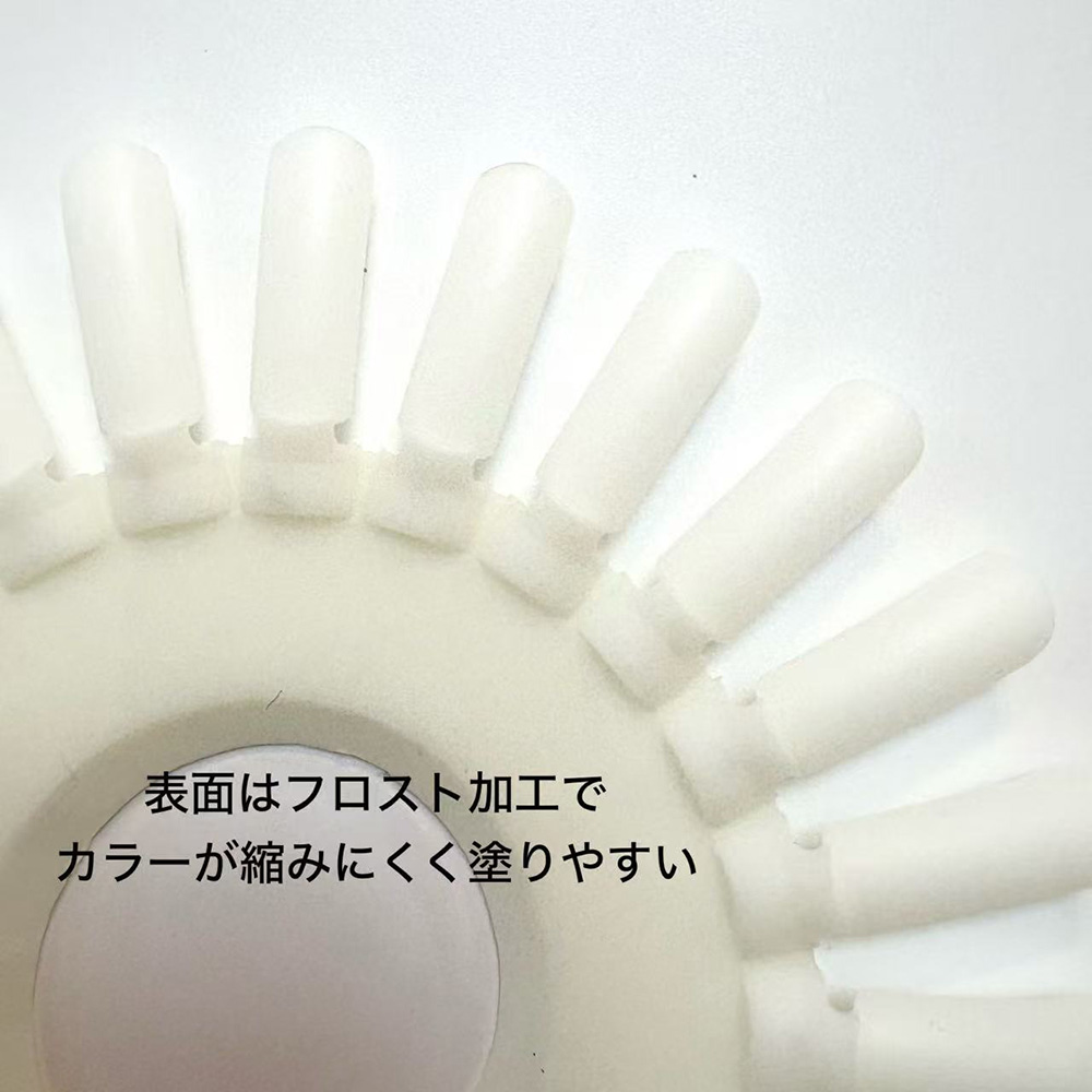 NFS カラーチャートディスク ナチュラル 1枚入 #2803