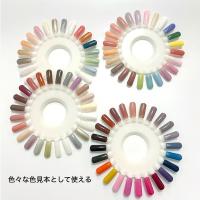 NFS カラーチャートディスク ナチュラル 1枚入 #2803