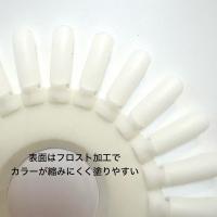 NFS カラーチャートディスク ナチュラル 10枚入 #2804