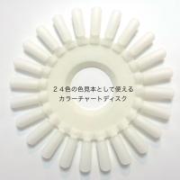 NFS カラーチャートディスク ナチュラル 10枚入 #2804