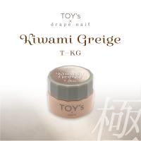 TOY's×INITY 極みグレージュ T-KG