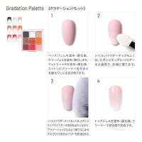 エメナ グラデーションパレット 9色入 E-GPLT01