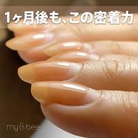 my&bee マイビー ノンサンディングフィルベース 1kg CB-NSF1K