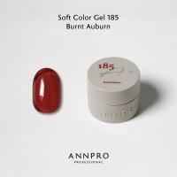 ANNPRO ソフトカラージェル 4g 185 バーントオーバン #8927