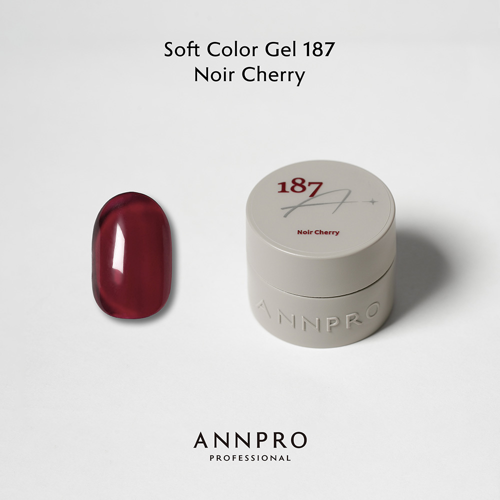 ANNPRO ソフトカラージェル 4g 187 ノワールチェリー #8929