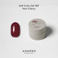 ANNPRO ソフトカラージェル 4g 187 ノワールチェリー #8929