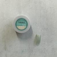 vibrant by Palms Graceful カラージェル 3g MAG #002