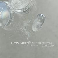 NOVEL オーロラシュガーグリッター 1g 0.1×0.2mm mix G978 #1978