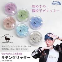 WSPT JAPAN なかやまちえこ先生監修 サテングリッター 微粒子 6色セット