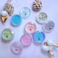 WSPT JAPAN なかやまちえこ先生監修 サテングリッター 微粒子 6色セット