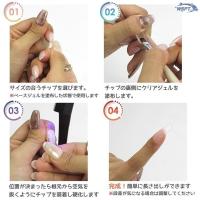 WSPT JAPAN トルタ エクステンションチップ192Tip's エクストラロング