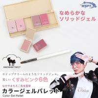 WSPT JAPAN なかやまちえこ先生監修 ソリッドジェル 6色セット