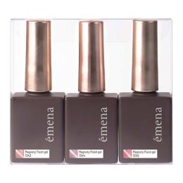 エメナ マグネティフラッシュジェル 8g 3色セット 1343-1345 EMENA-MF3N