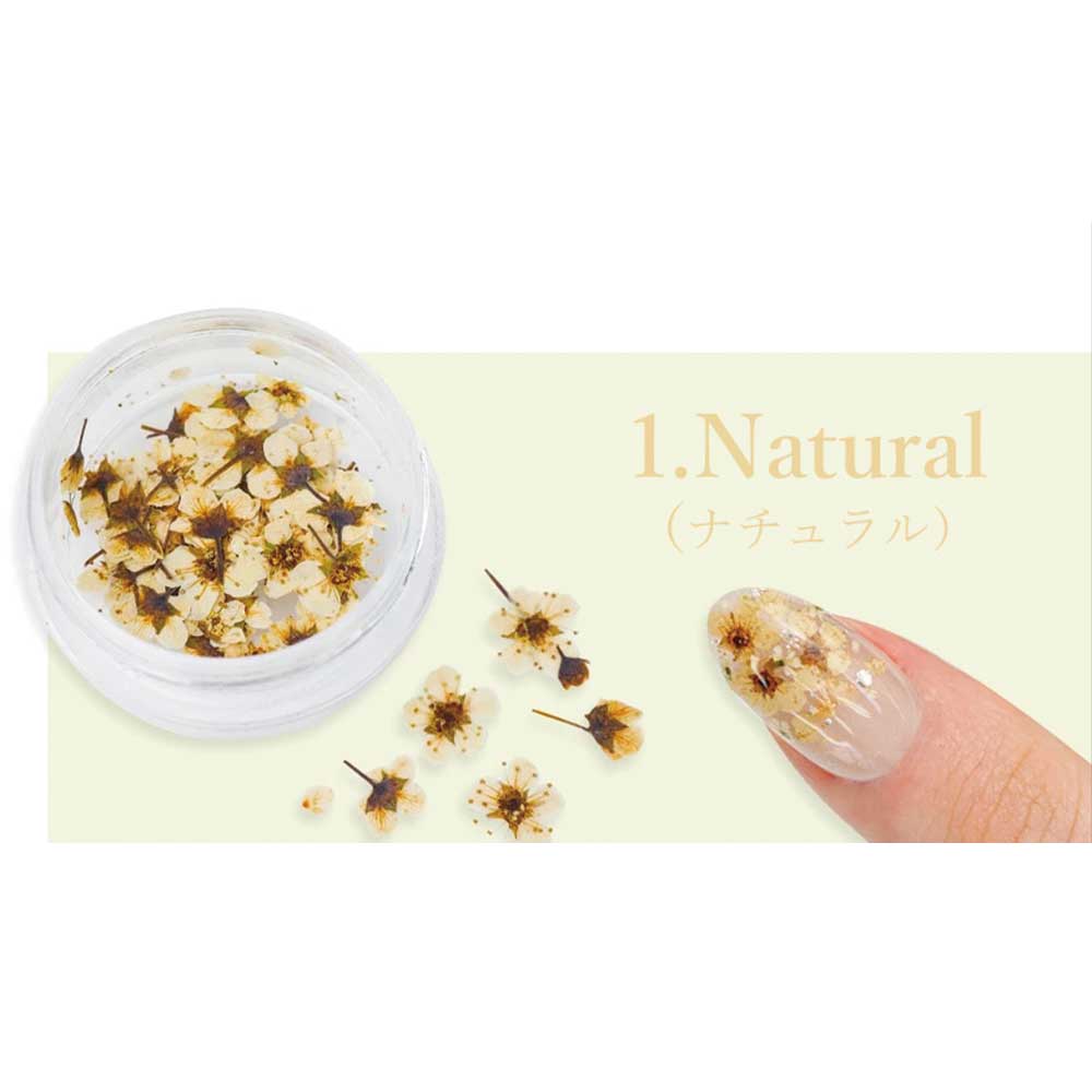 SMint エスミント コデマリ 約0.03g 1.ナチュラル