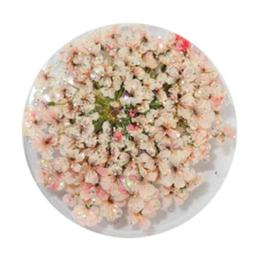 SMint エスミント レースフラワー グリッターシリーズ 約0.2g 4.コーラルピンク
