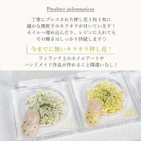 SMint エスミント レースフラワー グリッターシリーズ 約0.2g 4.コーラルピンク