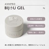 ANNPRO ビジュージェル 4g #38115