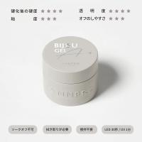 ANNPRO ビジュージェル 4g #38115