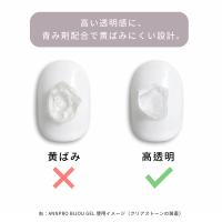 ANNPRO ビジュージェル 4g #38115