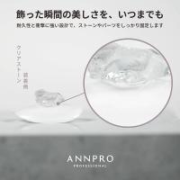 ANNPRO ビジュージェル 4g #38115