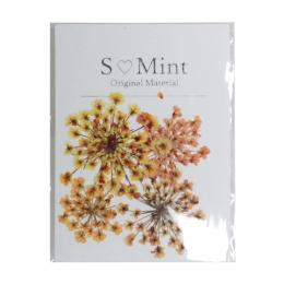 SMint エスミント レースフラワー トライシリーズ 4枚 3.オレンジ