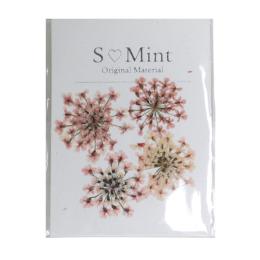 SMint エスミント レースフラワー トライシリーズ 4枚 4.コーラル