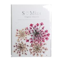 SMint エスミント レースフラワー トライシリーズ 4枚 5.ピンク