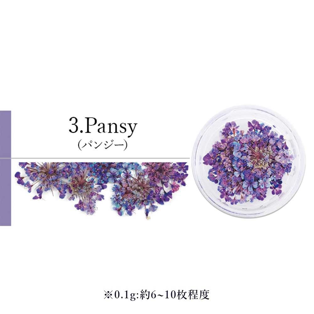 SMint エスミント レースフラワー 0.1g 3.パンジー