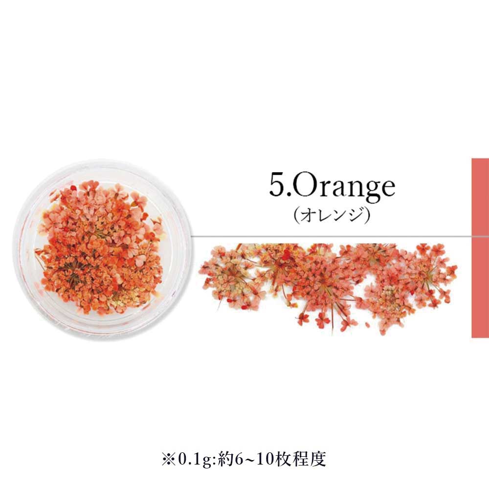 SMint エスミント レースフラワー 0.1g 5.オレンジ