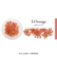 SMint エスミント レースフラワー 0.1g 5.オレンジ