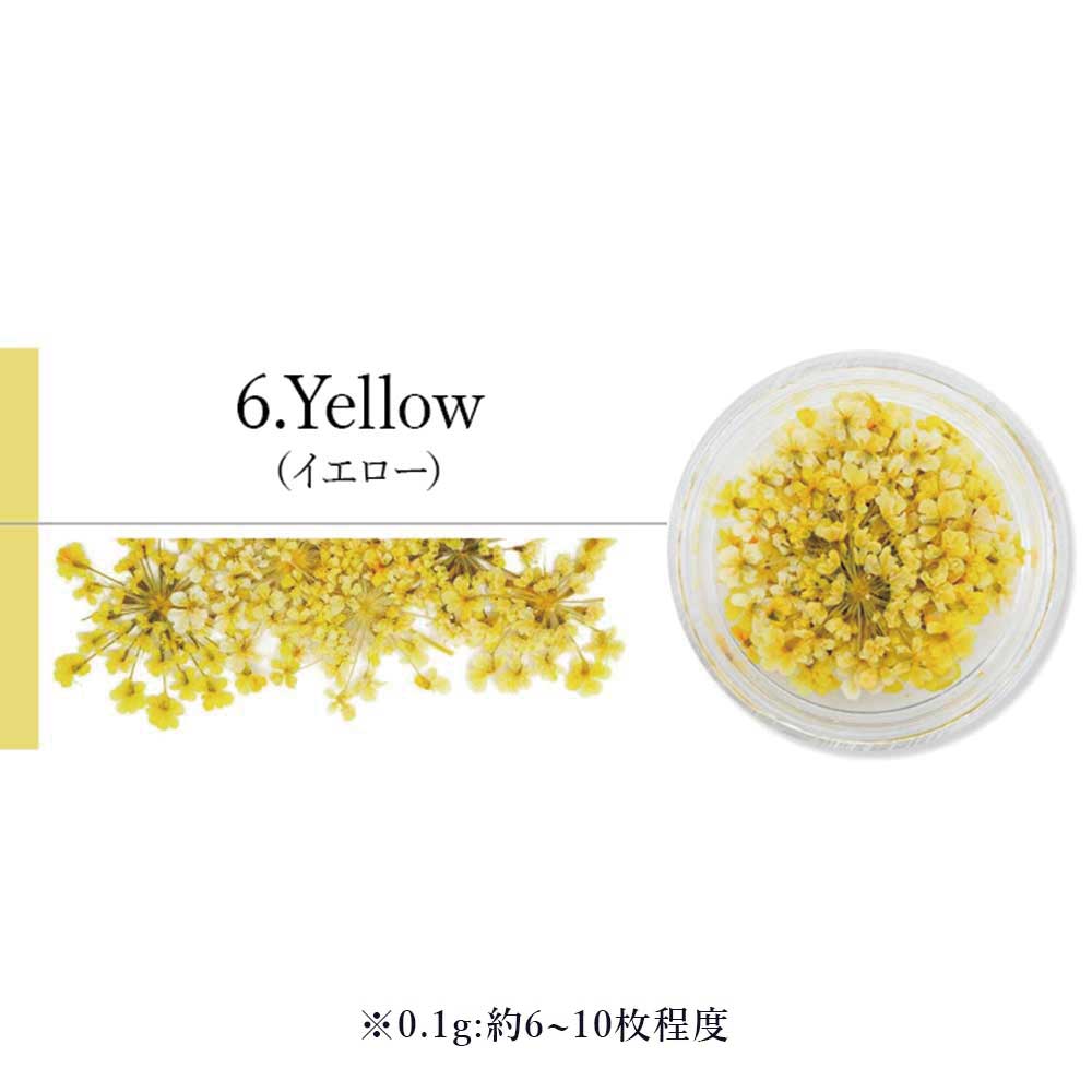 SMint エスミント レースフラワー 0.1g 6.イエロー
