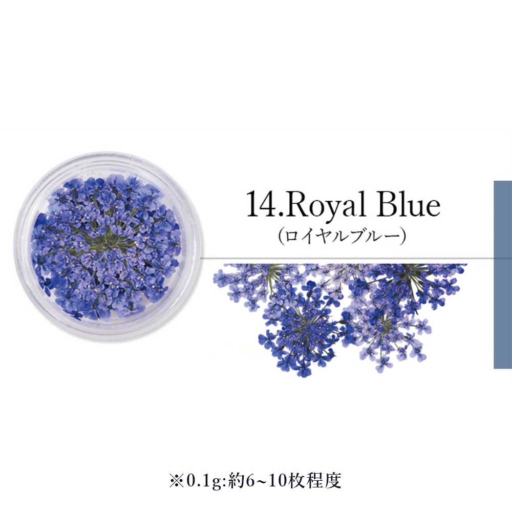 SMint エスミント レースフラワー 0.1g 14.ロイヤルブルー