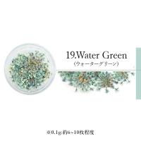 SMint エスミント レースフラワー 0.1g 19.ウォーターグリーン