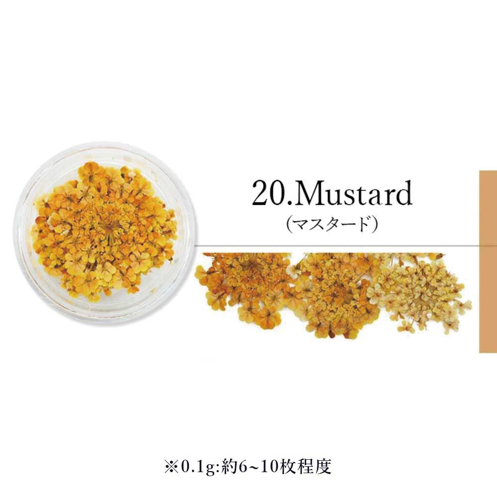 SMint エスミント レースフラワー 0.1g 20.マスタード