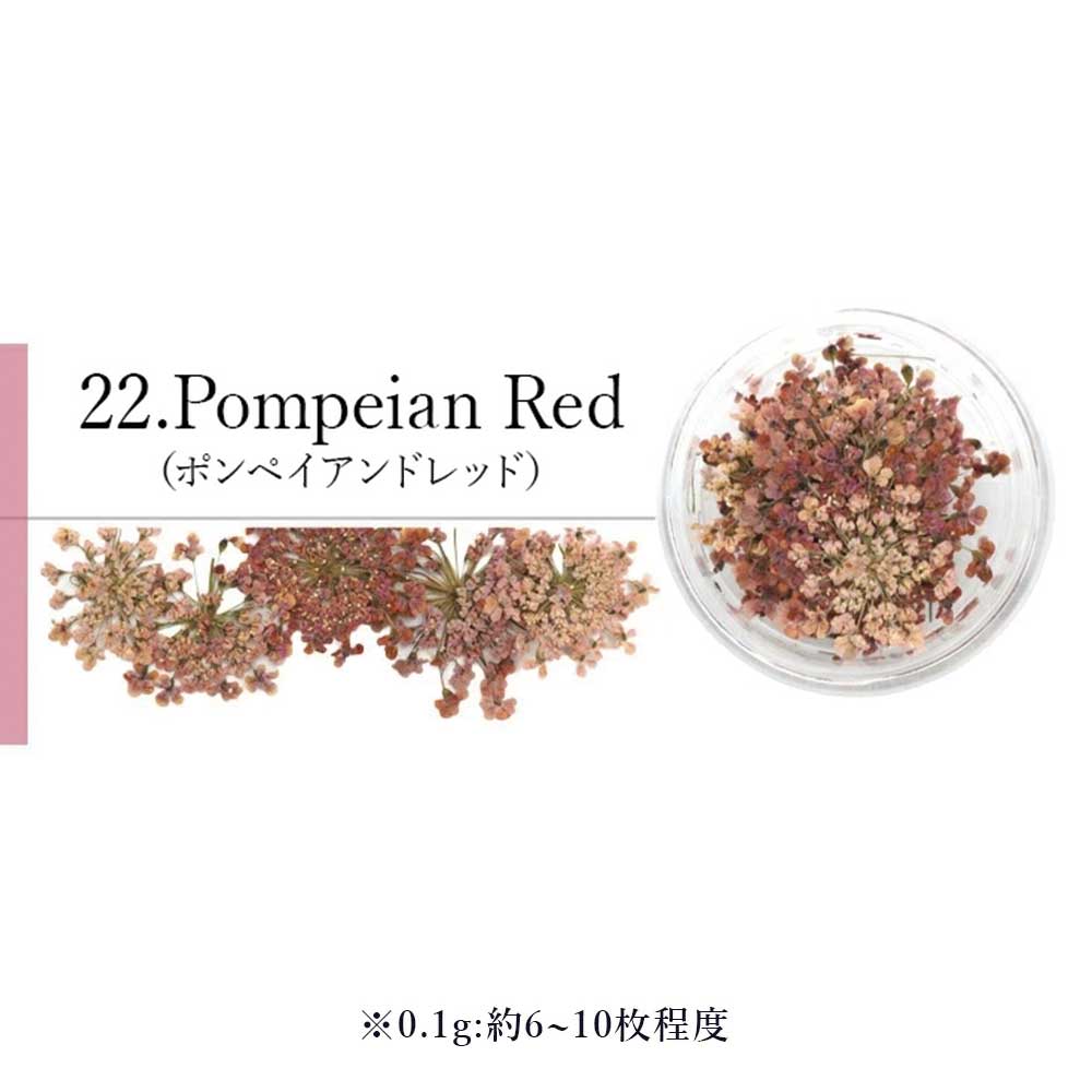 SMint エスミント レースフラワー 0.1g 22.ポンペイアンレッド