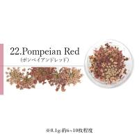 SMint エスミント レースフラワー 0.1g 22.ポンペイアンレッド