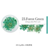 SMint エスミント レースフラワー 0.1g 23.フォレストグリーン