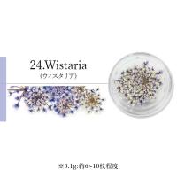 SMint エスミント レースフラワー 0.1g 24.ウィスタリア