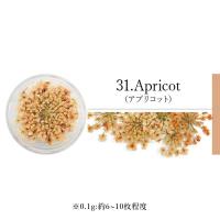 SMint エスミント レースフラワー 0.1g 31.アプリコット
