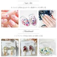 SMint エスミント レースフラワー 0.1g 31.アプリコット