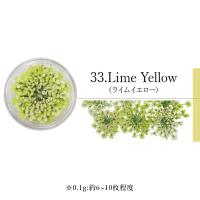SMint エスミント レースフラワー 0.1g 33.ライムイエロー