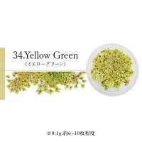 SMint エスミント レースフラワー 0.1g 34.イエローグリーン