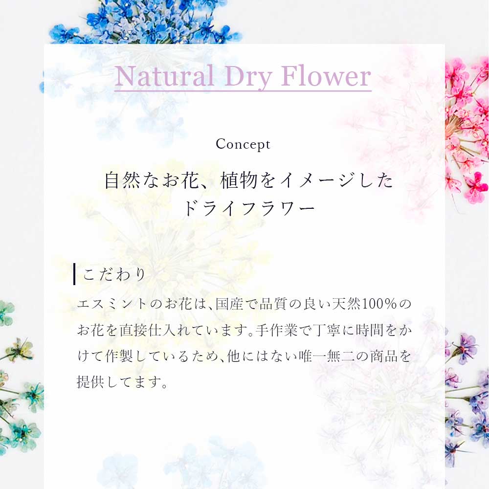SMint エスミント レースフラワー 0.1g 34.イエローグリーン