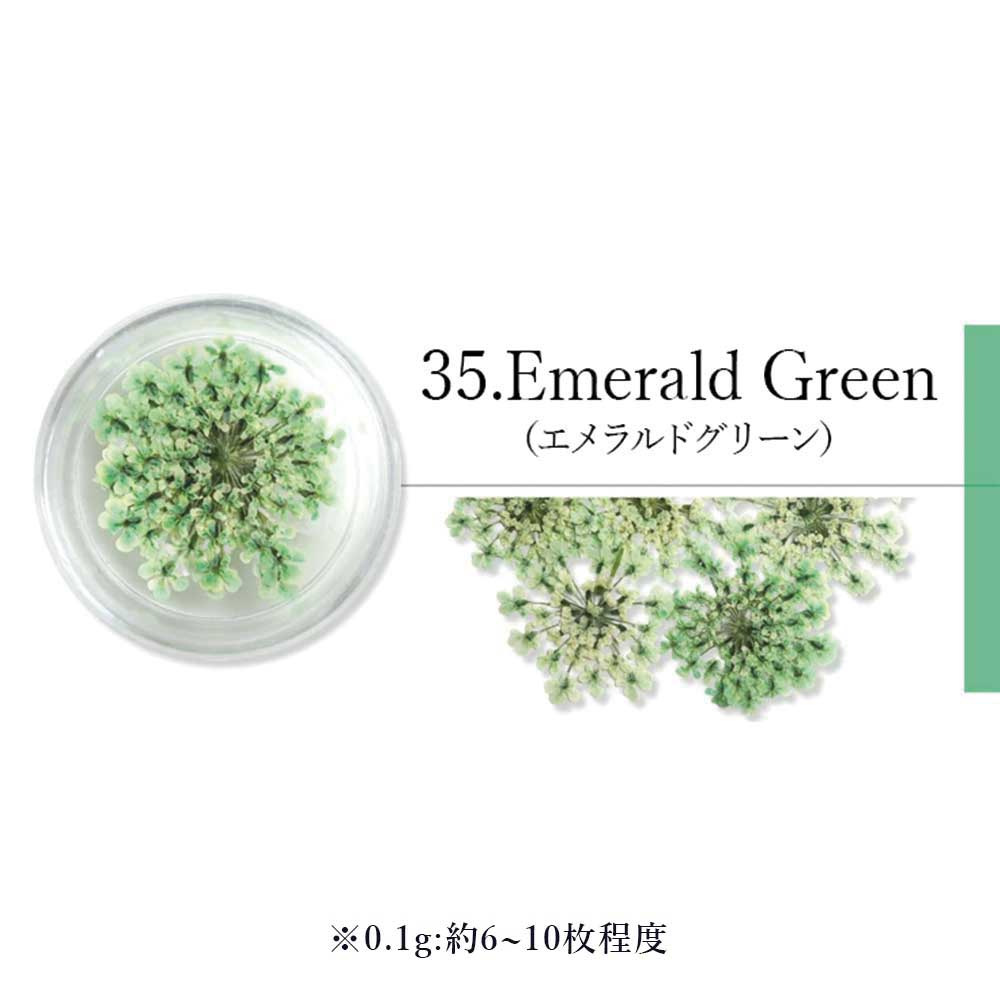 SMint エスミント レースフラワー 0.1g 35.エメラルドグリーン
